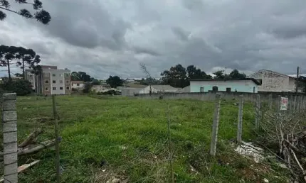 Oportunidade de Ouro para Construtores no Thomaz Coelho! Terreno de 3000m² com Localização Estratég