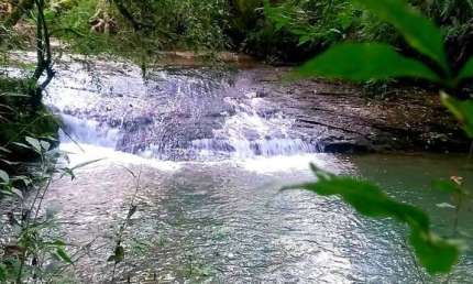 Chácara  a venda com Cachoeiras e Potencial Turístico em Mallet, Pr, terreno super produtivo