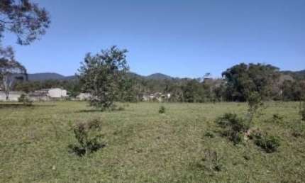 Grande área 52.800 m² na Rodovia Oswaldo Cruz excelente oportunidade!