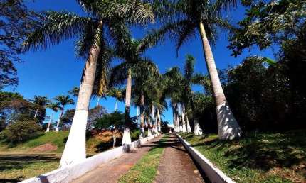 Chácara / sítio com 3 quartos à venda na Rua das Esmeraldas, 1000, Chácara Fernão Dias, Bragança Paulista