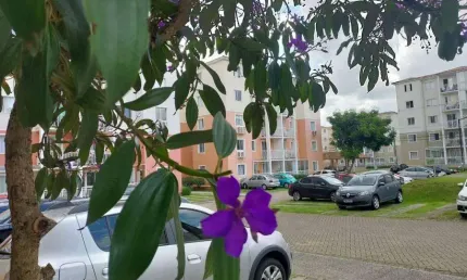 Apartamento com 2 quartos à venda na Rua Abel Scuissiato, 2829, Atuba, Colombo, 52 m2 por R$ 272.800