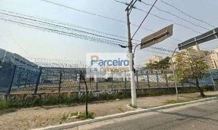 Terreno para aluguel,  Jardim São Cristóvão, São Paulo