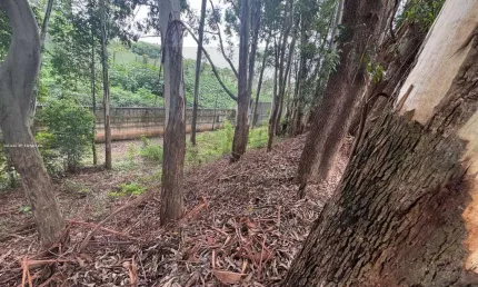 Terreno à venda na Avenida Tamboré, 100, Tamboré, Barueri