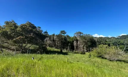 Sítio 38.000 m2 com casa. Terreno Fértil e Nascente de Água!