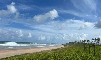 Oportunidade Única! Fazenda Pé na Areia em Subaúma!