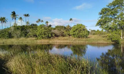Vende-se área exclusiva de 14.000 m² em Diogo – Vista mar e acesso a  rio!