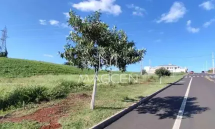 Terreno à venda no Cadorin, Pato Branco 