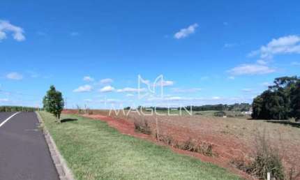 Terreno à venda no Cadorin, Pato Branco 