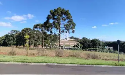Terreno à venda na Rua João Bernardi Filho, Cadorin, Pato Branco