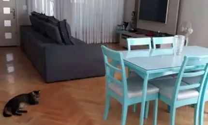 Sobrado com 3 dormitórios à venda, 220 m² por r$ 950.000,00 - vila mussolini - são bernardo do campo/sp