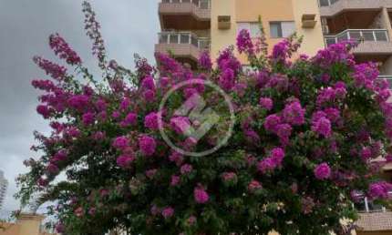 Apartamento com 4 quartos à venda na Rua das Pérolas, 184, Bosque da Saúde, Cuiabá