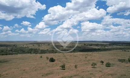 Fazenda, 2.950 hectares, Apta para Pecuária e Agricultura, Topografia plana, Alto Garças - MT R$120.000.000,00 - Aberto à negociação codigo: 53873