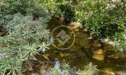 Fazenda à venda na Avenida B, 1000, Borda da Chapada, Cuiabá, 3 m2 por R$ 120.000