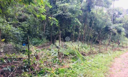 Terreno à venda, 15628 m² por R$ 250.000,00 - Itaipava - Petrópolis/RJ
