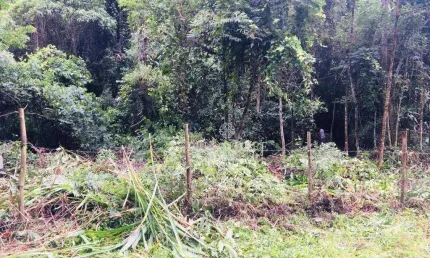Terreno à venda, 15950 m² por R$ 250.000,00 - Itaipava - Petrópolis/RJ