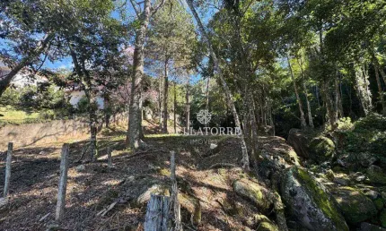 Terreno à venda, 3151 m² por R$ 240.000,00 - Parque do Ingá - Teresópolis/RJ