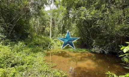 Terreno à venda, 74000 m² por R$ 480.000,00 - Fazenda Vitoria - São Lourenço da Serra/SP
