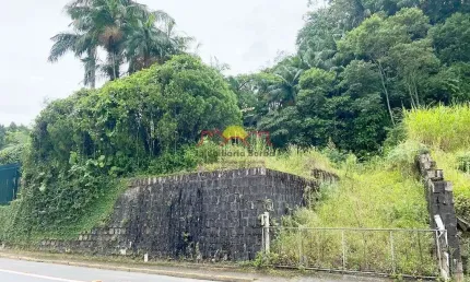 Terreno à venda no Anita Garibaldi, Joinville 