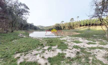 Terreno à venda no Bateias de Baixo, Campo Alegre 