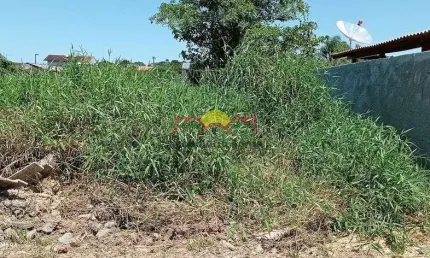 Terreno à venda no Ubatuba, São Francisco do Sul 