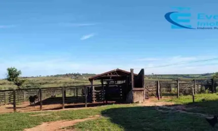 Fazenda à venda na Zona Rural, João Pinheiro 