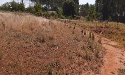 Sítio com tanque para peixes próximo á Uberlândia-MG, medindo 18,4194 hectares ou seja, 3,80 alqueires;