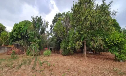 Excelente área com 10.000 m² no bairro parque das américas;