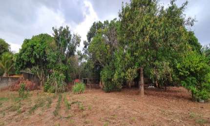 Chácaras em Uberlândia - MG com 10.000 m² no Bairro Parque das Américas;