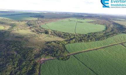 Fazenda com 185,95 alqueires, para Lavoura com córrego em Uberlândia;