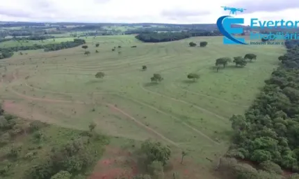 Fazenda em Uberlândia - MG com 31,84 alqueires ou 154,13 hectares;