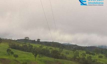 Fazenda rica em água, com 25,50 alqueires em Presidente Olegário - MG;