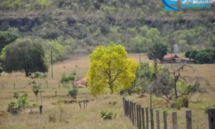 Fazenda em Gurinhatã - MG com 135,52hectares, ou seja 28,00 alqueires