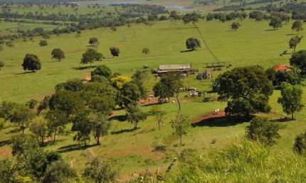 Fazenda de 388 Alqueires em Tupaciguara-MG: aproximadamente 950 hectares em Cana e estrutura completa para pecuária nas margens da Represa de Furnas!