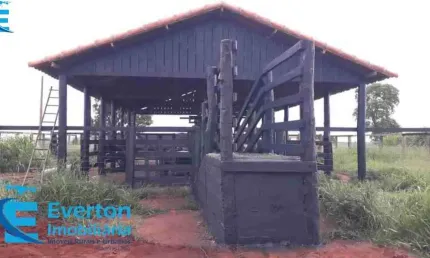 Fazenda de 39,8 Alqueires em Campina Verde com 79 % aproveitamento pecuária de Corte