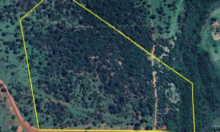 SÍTIO DE 38,30 HECTARES EM SANTA VITÓRIA-MG: O PARAÍSO NO CAMPO ESPERA POR VOCÊ!