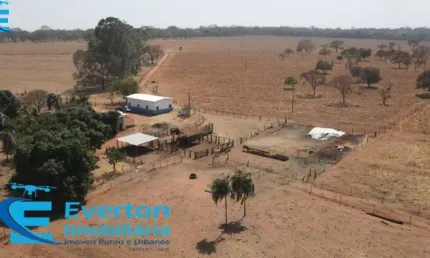 Fazenda em monte Alegre de Minas com 98.79 hectares - 20.41 alqueires ideal para lavoura, pecuaria de corte ou produção de leite.