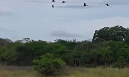 Fazenda em Santa Fé - MG com 535,67 hectares ou 110,67 alqueires;