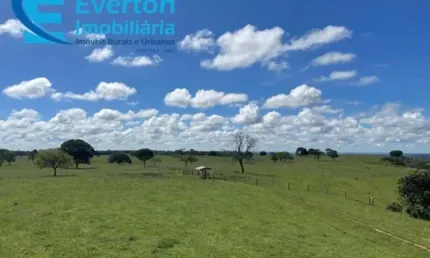 Fazenda de pecuária de corte em são gonçalo do abaeté-mg: 417,48 hectares de oportunidade única!