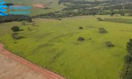 Fazenda de 16,91 alqueires em Uberlândia, Tapuirama: Estrutura completa para sua atividade rural!
