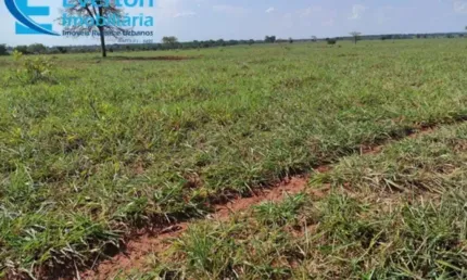 Fazenda à venda: oportunidade única em aparecida do rio doce-go, 2.803 hectares de dupla aptidão!