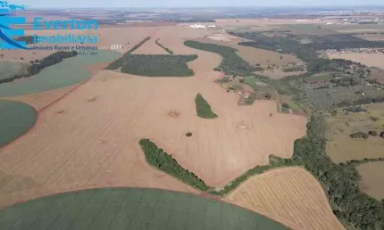 FAZENDA DE 45,95 ALQUEIRES EM ÁREA RURAL DE UBERLÂNDIA-MG - OPORTUNIDADE ÚNICA!