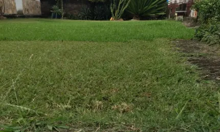 Casa com 5 quartos à venda na Cidade Nobre, Ipatinga 