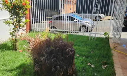 Casa térrea no bairro alto, com 185 m2 de área útil