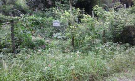 Terreno à venda, 675 m² por R$ 310.000,00 - Itaipu - Niterói/RJ