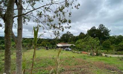 Chácara / sítio com 4 quartos à venda na Rural, 2538, Área Rural de Fazenda Rio Grande, Fazenda Rio Grande por R$ 955.000