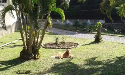 Terreno à venda no Poço Fundo, Brusque 
