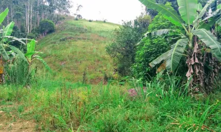 Terreno pra sitio em tjipio são joão batista; com água, energia, pastagem, ribeirão.