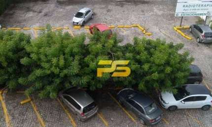 Ponto para alugar, 1200 m² por R$ 25.000/mês - Bairro dos Estados - João Pessoa/PB