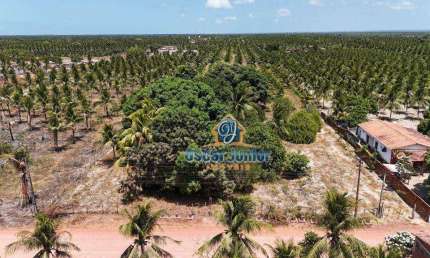 Terreno à venda, 10,000 m² por R$ 170.000 - Lagoinha - Paraipaba/CE