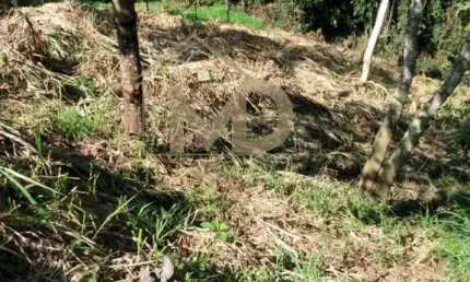 Terreno à venda no Artistas, Teresópolis 